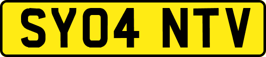 SY04NTV