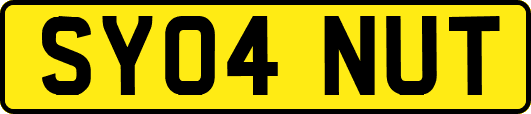 SY04NUT