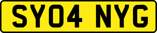 SY04NYG