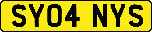SY04NYS