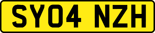 SY04NZH