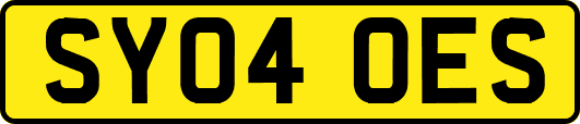 SY04OES