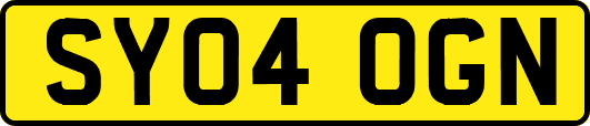 SY04OGN