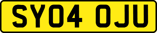 SY04OJU