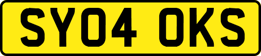 SY04OKS