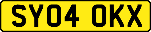 SY04OKX