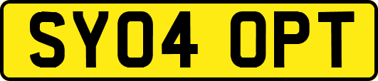 SY04OPT