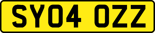 SY04OZZ