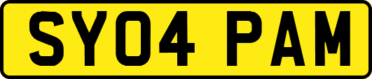 SY04PAM