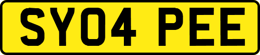 SY04PEE