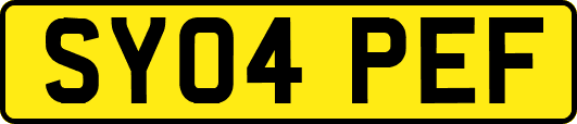 SY04PEF