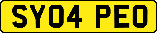 SY04PEO
