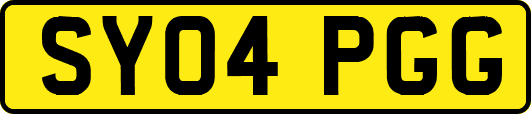 SY04PGG