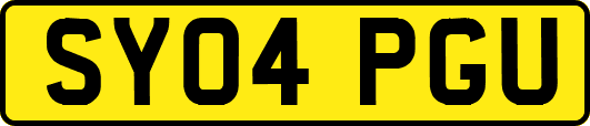 SY04PGU