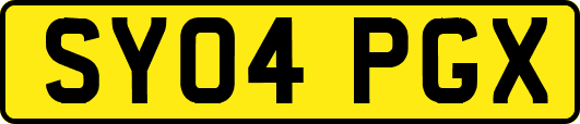 SY04PGX