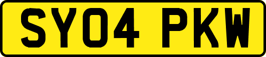 SY04PKW