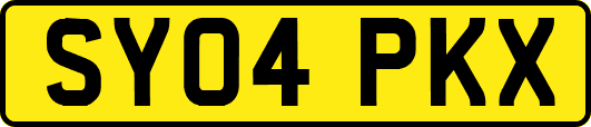 SY04PKX