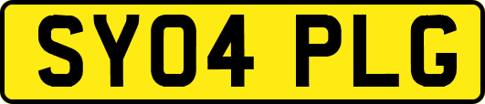 SY04PLG