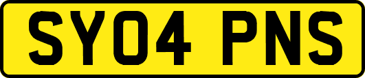 SY04PNS