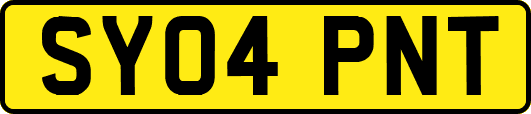 SY04PNT