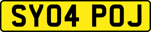 SY04POJ