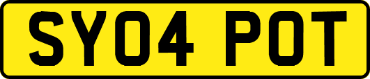 SY04POT
