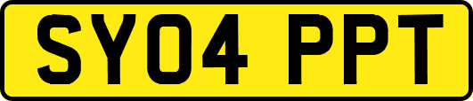 SY04PPT