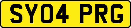 SY04PRG