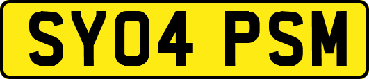 SY04PSM