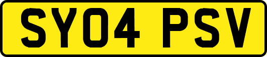 SY04PSV