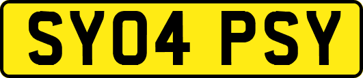 SY04PSY