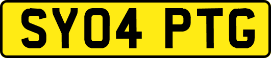 SY04PTG