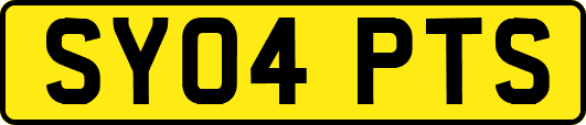 SY04PTS