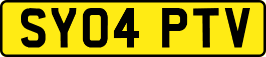 SY04PTV