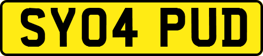 SY04PUD