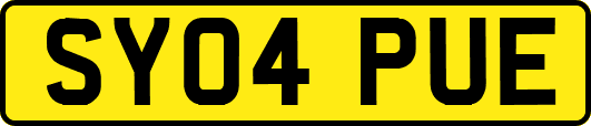 SY04PUE
