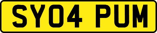 SY04PUM
