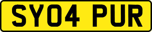 SY04PUR
