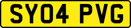 SY04PVG