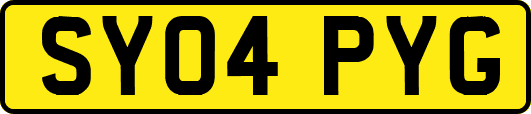 SY04PYG