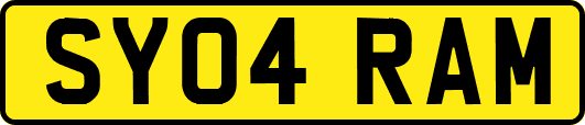 SY04RAM
