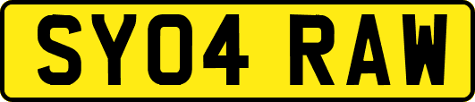 SY04RAW