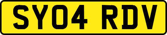SY04RDV