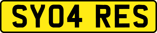 SY04RES