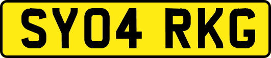 SY04RKG