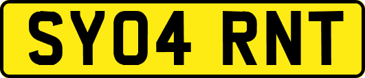 SY04RNT