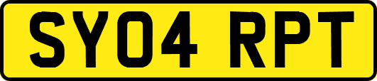 SY04RPT