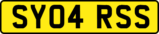 SY04RSS