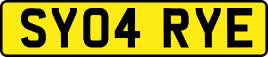 SY04RYE