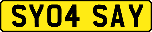 SY04SAY